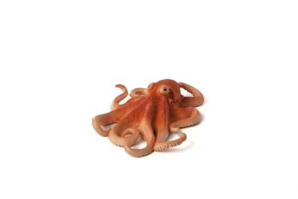 POLVO PEIXE MOJO FUN RÉPLICA DE ANIMAL BONECO COLECIONÁVEL